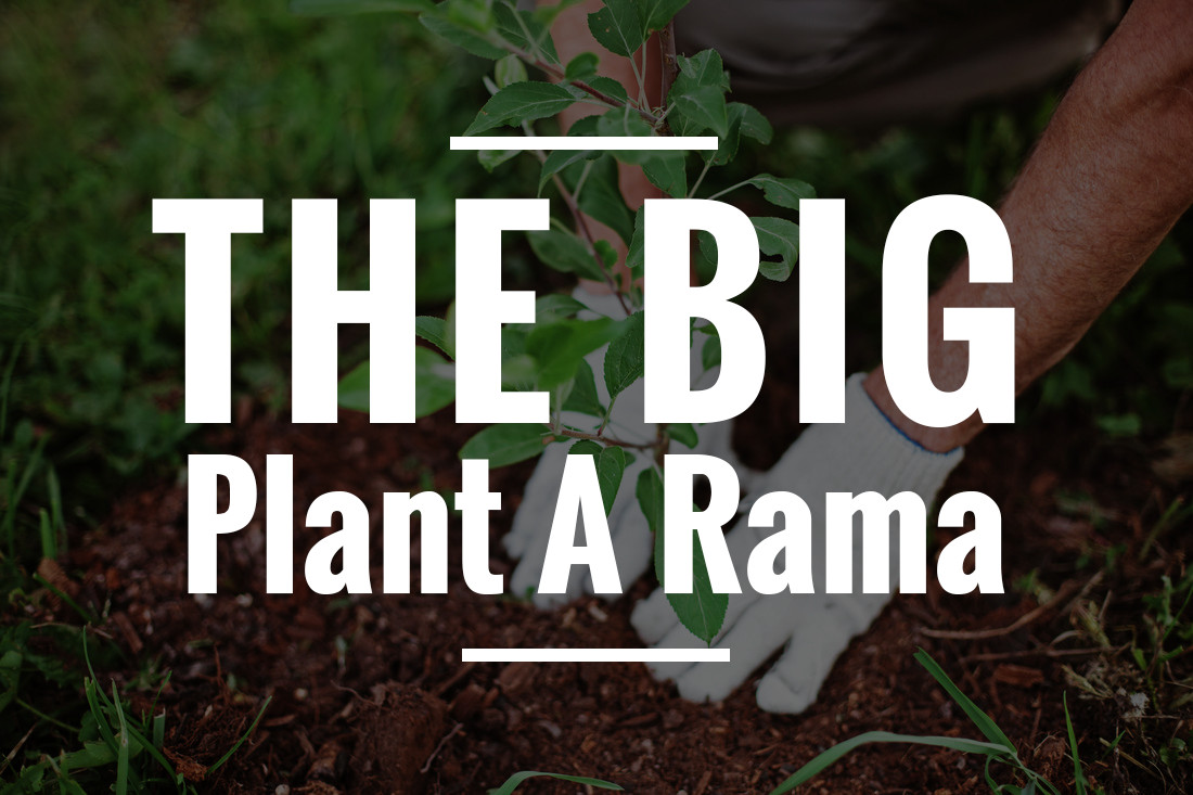 The Big Plant A Rama